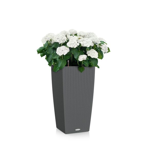 Lechuza Cubico Cottage 40 - Komplettset Granit