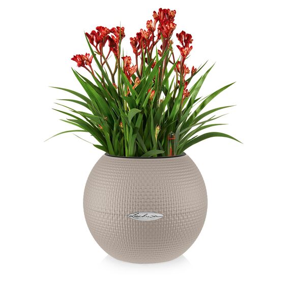 LECHUZA PURO Color 20 sandbraun 13378