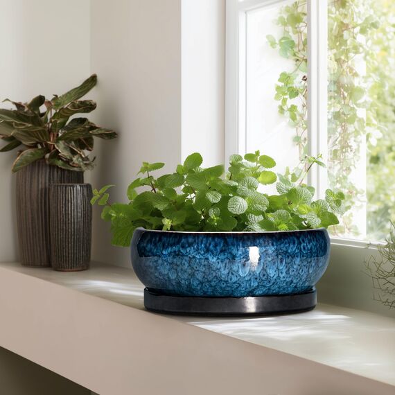 EPFamily Bonsaitöpfe aus Keramik, 30,5 cm, mit Ablauflöchern und Untersetzern, Blau