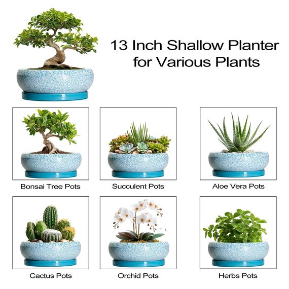 EPFamily Bonsaitöpfe aus Keramik, 30,5 cm, mit Ablauflöchern und Untersetzern, blau-weiß