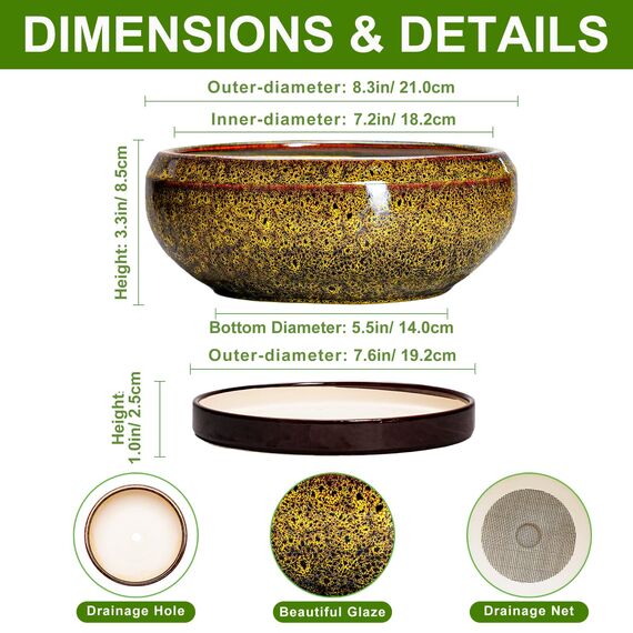 EPFamily Sukkulenten-Übertöpfe 20,3 cm – Bonsai-Töpfe aus Keramik mit Ablaufloch und Tablett, Flacher Blumentopf für drinnen und draußen, runde Sukkulentententöpfe, Pflanzschale, Veranda-Dekor