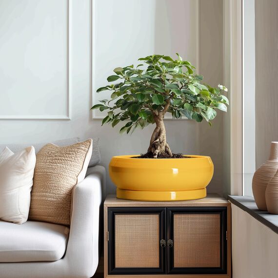 EPFamily Bonsai-Töpfe aus Keramik, 33 cm, große Sukkulententententöpfe mit Ablaufloch und Untersetzer, Bonsai-Pflanzgefäß für drinnen und draußen, runde Flache Schale, Pflanzgefäß