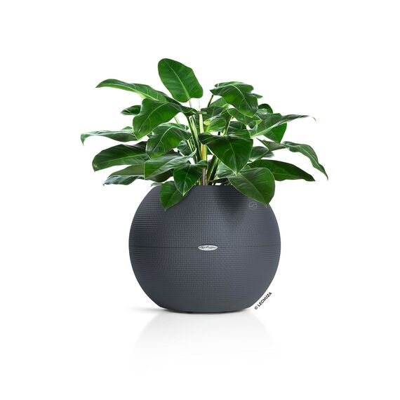 LECHUZA PURO Color 50 schiefergrau 13344, 49x49x41 cm