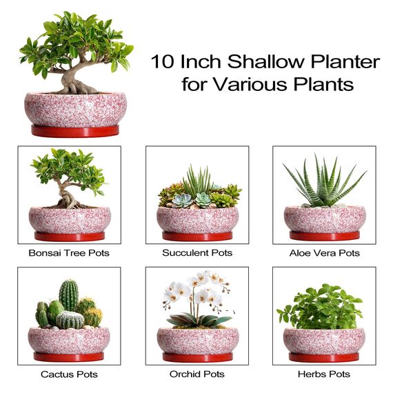 EPFamily Bonsai-Töpfe aus Keramik, 25,4 cm, mit Ablauflöchern und Untersetzern, Rot