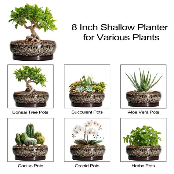 EPFamily Bonsai-Töpfe – 20,3 cm Keramiktöpfe für Pflanzen mit Ablaufloch und Untersetzer, runder Sukkulentententopf, Bonsai-Pflanzgefäße für drinnen und draußen, Flache Pflanzschale