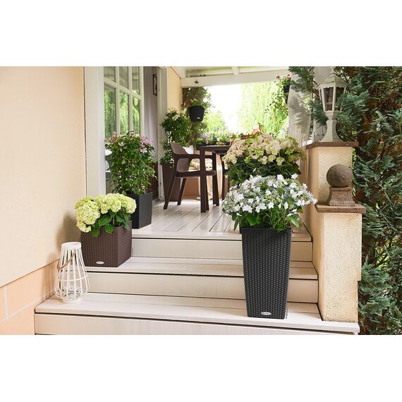 LECHUZA CUBICO Cottage 30 graphitschwarz 15123