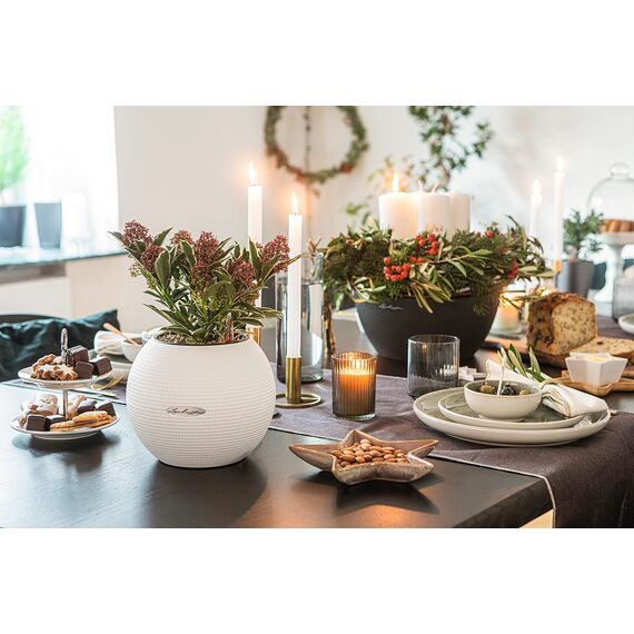 Lechuza Puro Color 20, All-in-One-Set weiß