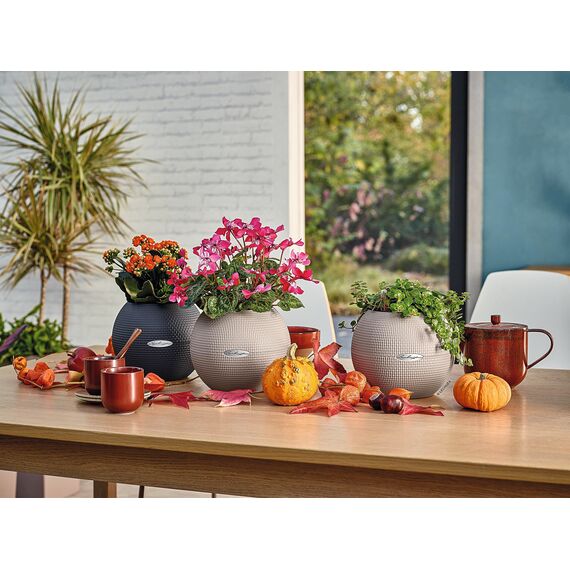 LECHUZA PURO Color 20 sandbraun 13378