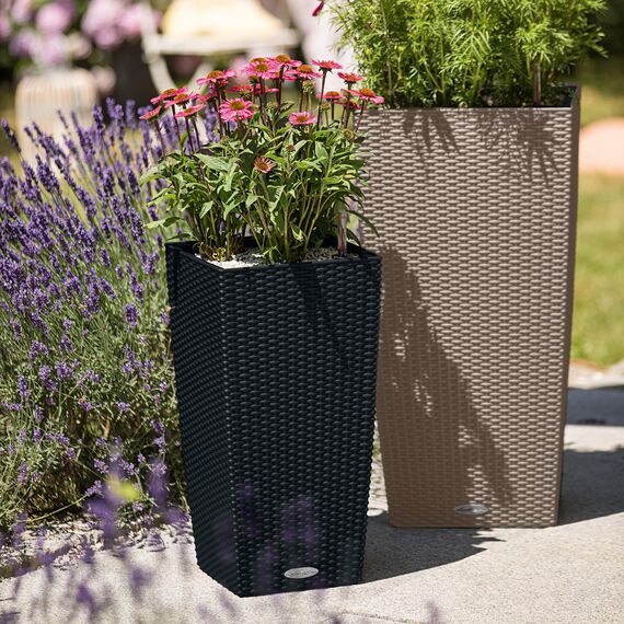 Lechuza CUBICO Cottage 30 All-in-One Set sandbraun 15158