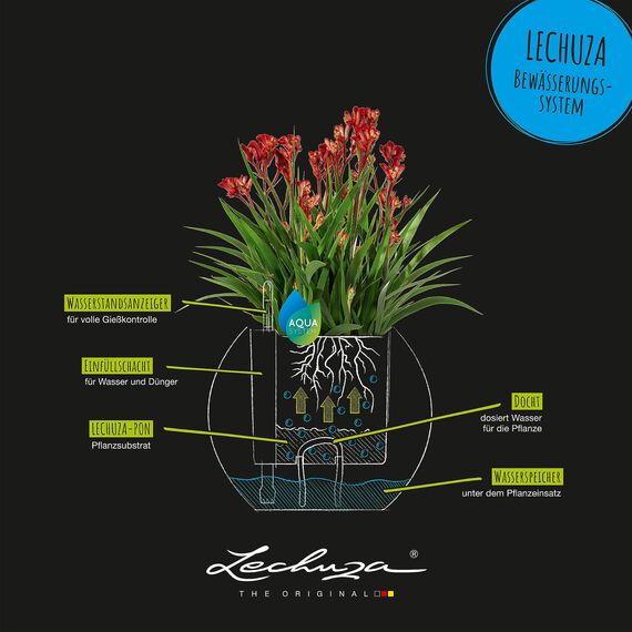 LECHUZA PURO Color 20 sandbraun 13378