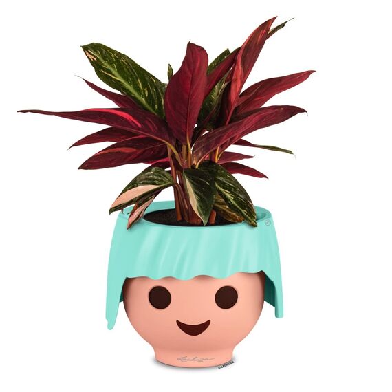 LECHUZA OJO aquamarine aquamarine 19043