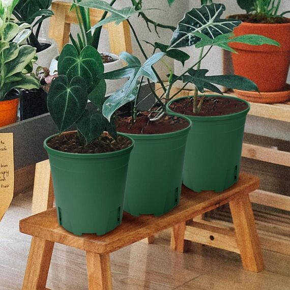 Muzhira Blumentopf, 16.2cm 5er Atmungsaktiver Pflanzentopf aus Kunststoff für Innen- und Außenbereich, Bonsai-Pflanzen, Aloe, Kräuter, Orchideen und mehr - Grün