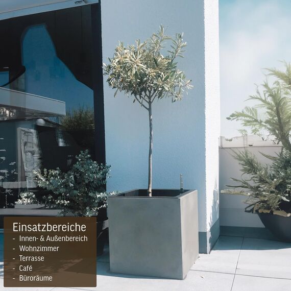 VIVANNO Pflanzkübel Fiberglas Block Frostsicher - 40x40x40 cm - Beton-Design Grau - Blumenkübel Quadratisch für Draußen und Drinnen