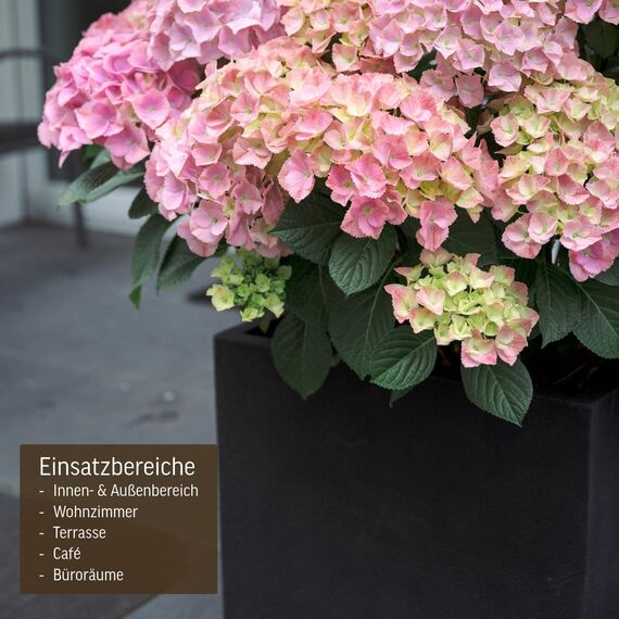 VIVANNO Pflanzkübel Fiberglas Block Frostsicher - 50x50x50 cm - Steinoptik Anthrazit - Blumenkübel Quadratisch für Draußen und Drinnen