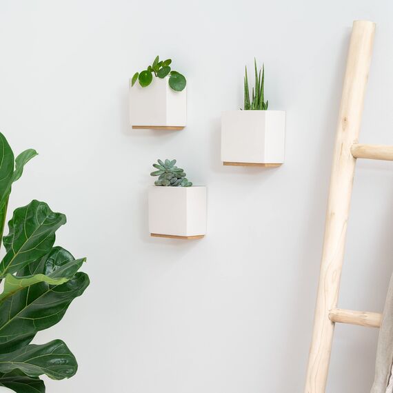 Kazai. Wandvasen -Alma- | Moderne Hängende Blumentöpfe für die Wand | 3-teiliges Übertopf-Set aus hochwertigem Resin für Zimmerpflanzen, Kunstpflanzen, Blumen u.m. | Crème