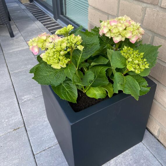 VIVANNO Pflanzkübel Fiberglas Block Frostsicher - 30x30x30 cm - Anthrazit Matt - Blumenkübel Quadratisch für Draußen und Drinnen