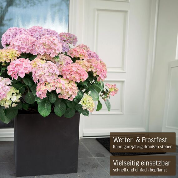 VIVANNO Pflanzkübel Fiberglas Block Frostsicher - 50x50x50 cm - Steinoptik Anthrazit - Blumenkübel Quadratisch für Draußen und Drinnen
