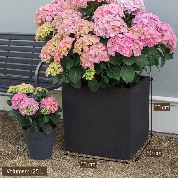 VIVANNO Pflanzkübel Fiberglas Block Frostsicher - 50x50x50 cm - Steinoptik Anthrazit - Blumenkübel Quadratisch für Draußen und Drinnen