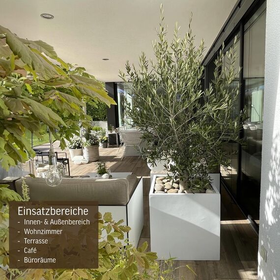 VIVANNO Pflanzkübel Fiberglas Block Frostsicher - 60x60x60 cm - Weiß Matt - Blumenkübel Quadratisch für Draußen und Drinnen