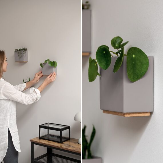 Kazai. Wandvasen -Alma- | Moderne Hängende Blumentöpfe für die Wand | 3-teiliges Übertopf-Set aus hochwertigem Resin für Zimmerpflanzen, Kunstpflanzen, Blumen u.m. | Taupe