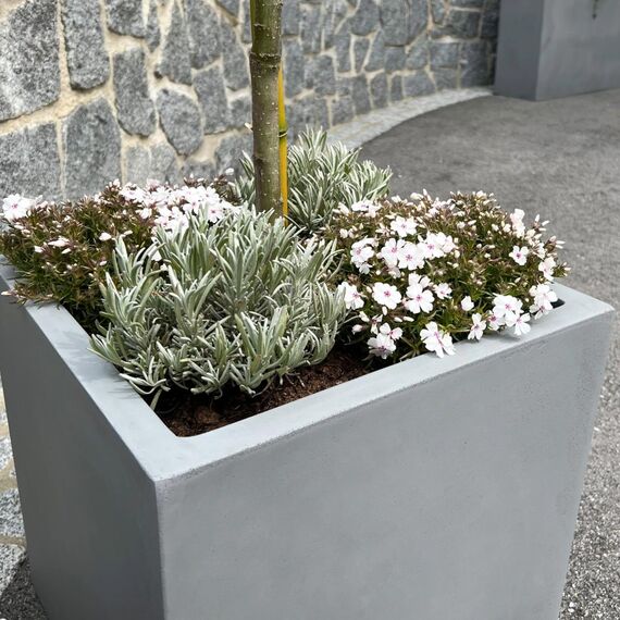 VIVANNO Pflanzkübel Fiberglas Block Frostsicher - 40x40x40 cm - Beton-Design Grau - Blumenkübel Quadratisch für Draußen und Drinnen