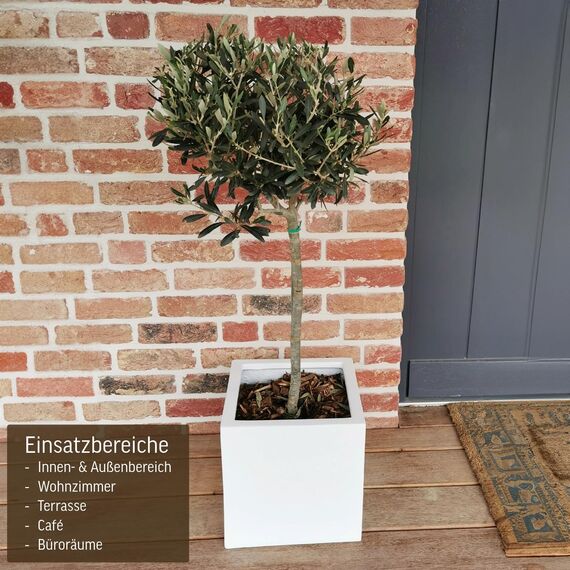 VIVANNO Pflanzkübel Fiberglas Block Frostsicher - 30x30x30 cm - Weiß Matt - Blumenkübel Quadratisch für Draußen und Drinnen