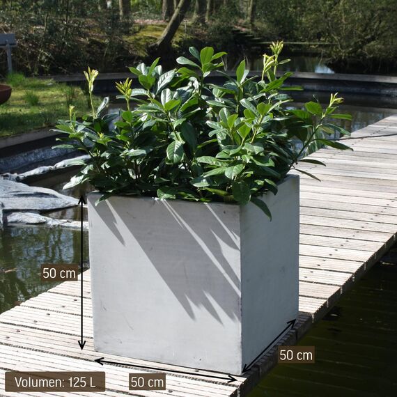 VIVANNO Pflanzkübel Fiberglas Block Frostsicher - 50x50x50 cm - Beton-Design Grau - Blumenkübel Quadratisch für Draußen und Drinnen