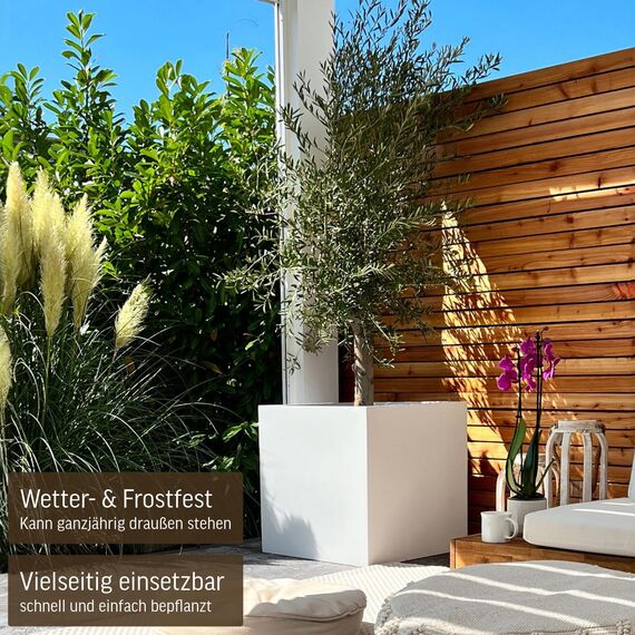 VIVANNO Pflanzkübel Fiberglas Block Frostsicher - 60x60x60 cm - Weiß Matt - Blumenkübel Quadratisch für Draußen und Drinnen