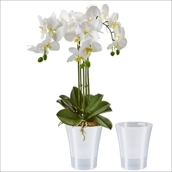 Santino 2er-Set Orchideentopf transparent mit selbstbewässerndem Dochtsystem - D 15 cm - Transparent - 2 L