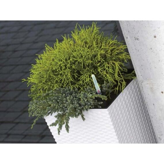 Rato-Topf 15,8 Liter mit Pflanzschale in dunkler Ockerfarbe 26,2 x 26,2 x 26,6 cm.