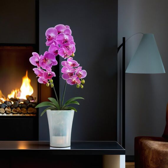 Santino 4er-Set Orchideentopf transparent mit selbstbewässerndem Dochtsystem - D 15 cm - Transparent - 2 L