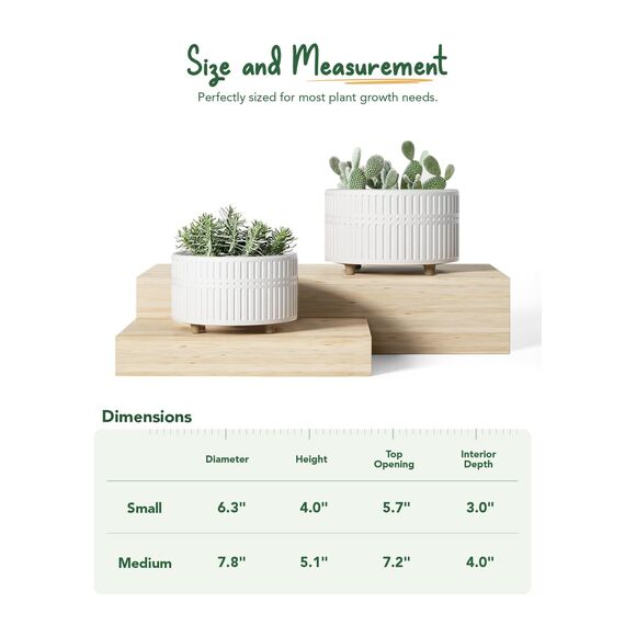 LE TAUCI Sukkulenten Topf, 16,5+20 cm Keramik Blumentopf für den Innenbereich mit Entwässerungslöchern, Moderner Zylindrischer Dekorativer Blumentopf, Geschenke für Mama, 2er-Set, Weiß