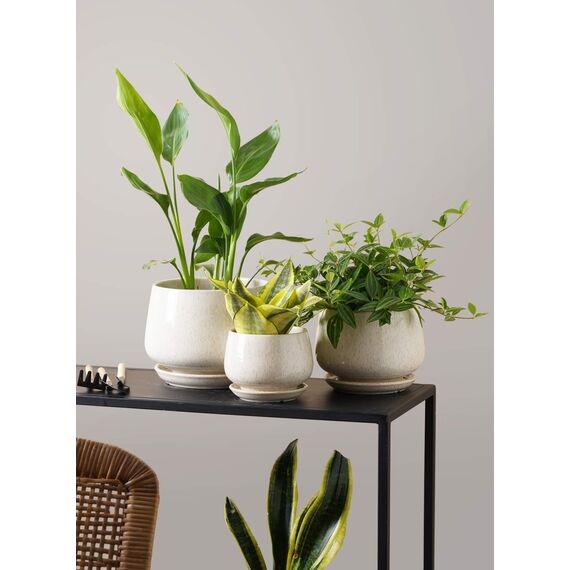 LE TAUCI Keramik Blumentöpfe mit Untersetzer, 10+13+16 cm Durchmesser Klein Blumentöpfe Set, 3er Set Übertöpfe für Zimmerpflanzen, Pflanztöpfe mit Abflussloch, Reaktive Glasur Beige