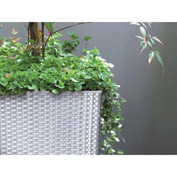 10 -Liter -Zeit Pot mit Eimer zu pflanzen in Anthrazitfarbe 22,3 x 22,3 x 22,8 cm.