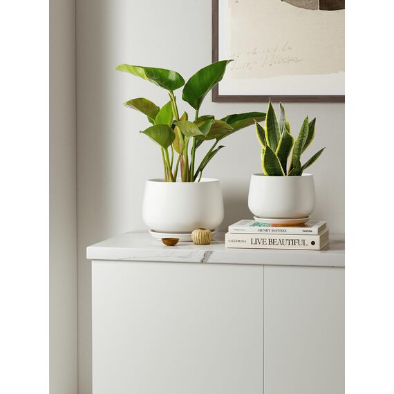 LE TAUCI Keramik Blumentöpfe mit Untersetzer, 10+13+16 cm Durchmesser Klein Blumentöpfe Set, 3er Set Übertöpfe für Zimmerpflanzen, Pflanztöpfe mit Abflussloch, Weiß