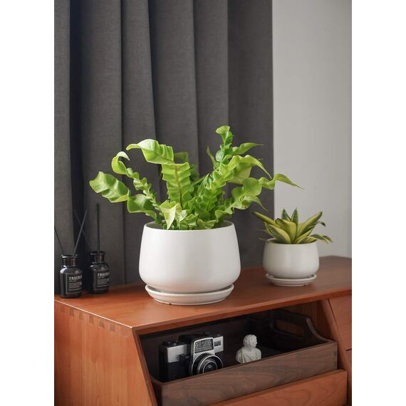 LE TAUCI Keramik Blumentöpfe mit Untersetzer, 10+13+16 cm Durchmesser Klein Blumentöpfe Set, 3er Set Übertöpfe für Zimmerpflanzen, Pflanztöpfe mit Abflussloch, Weiß