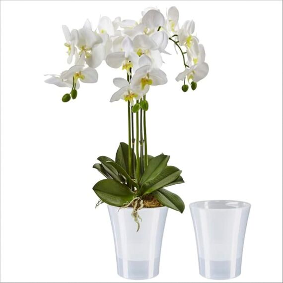 Santino 2er-Set Orchideentopf transparent mit selbstbewässerndem Dochtsystem - D 15 cm - Transparent - 2 L