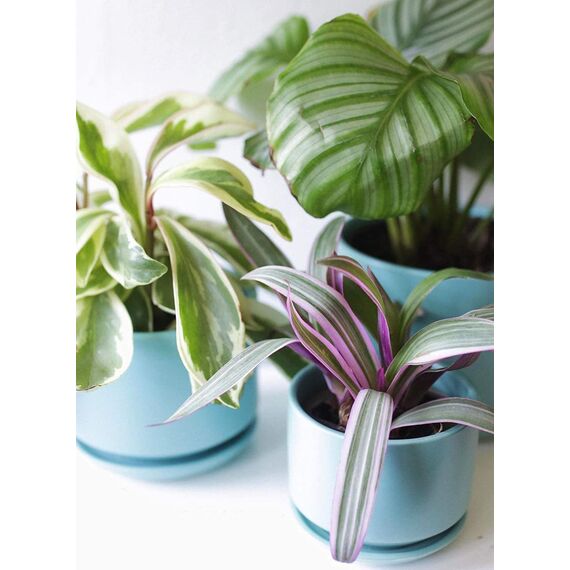 LE TAUCI 3er Pack Keramik Blumentöpfe, 11+13+17 cm Durchmesser Klein Übertöpfe Set, Blumentopf für Zimmerpflanzen mit Untersetzer und Abflussloch, Aqua