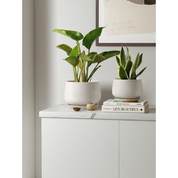 LE TAUCI Keramik Blumentöpfe mit Untersetzer, 10+13+16 cm Durchmesser Klein Blumentöpfe Set, 3er Set Übertöpfe für Zimmerpflanzen, Pflanztöpfe mit Abflussloch, Reaktive Glasur Beige