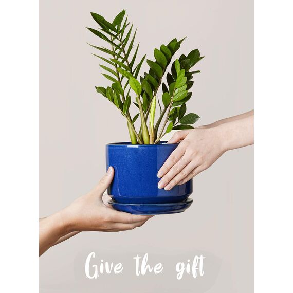 LE TAUCI 3er Pack Keramik Blumentöpfe, 11+13+17 cm Durchmesser Klein Übertöpfe Set, Blumentopf für Zimmerpflanzen mit Untersetzer und Abflussloch, Saphrine Blau