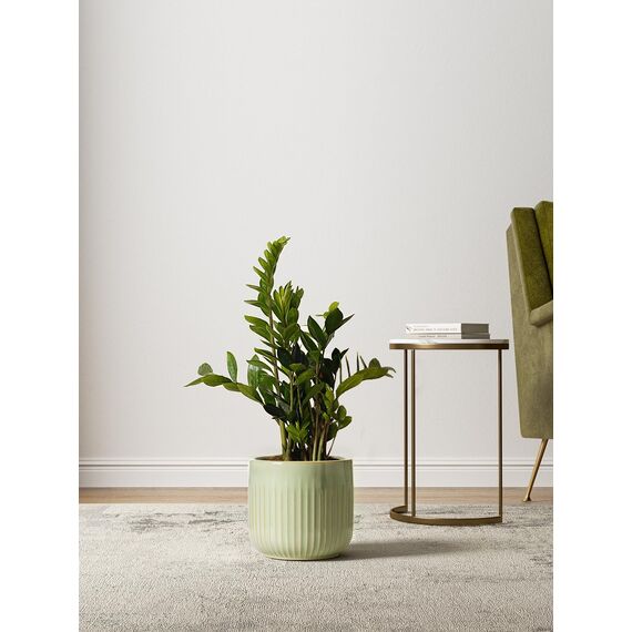 LE TAUCI 3er Set Blumentopf Keramik, 21+17+14 cm Durchmesser Ubertopf für Zimmerpflanzen, Plfanztopf mit Drainagelöchern, Mittelgroßer Zylinder Blumentopf, Reaktive Glasur Salbeigrün