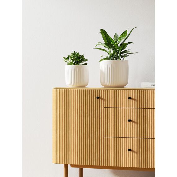 LE TAUCI 3er Set Blumentopf Keramik, 21+17+14 cm Durchmesser Ubertopf für Zimmerpflanzen, Plfanztopf mit Drainagelöchern, Mittelgroßer Zylinder Blumentopf, Mattweiß