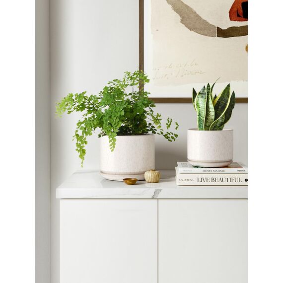 LE TAUCI 3er Pack Keramik Blumentöpfe, 11+13+17 cm Durchmesser Klein Übertöpfe Set, Blumentopf für Zimmerpflanzen mit Untersetzer und Abflussloch, Reaktive Glasur Beige