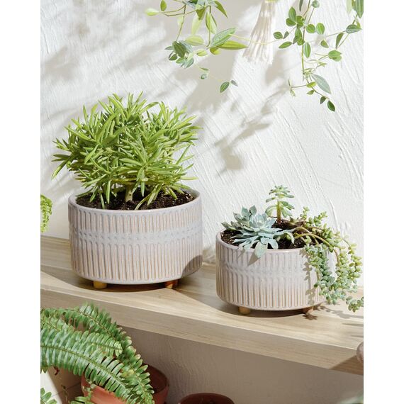 LE TAUCI Sukkulenten Topf, 16,5+20 cm Keramik Blumentopf für den Innenbereich mit Entwässerungslöchern, Moderner Zylindrischer Dekorativer Blumentopf, Geschenke für Mama, 2er-Set, Stern Weiß