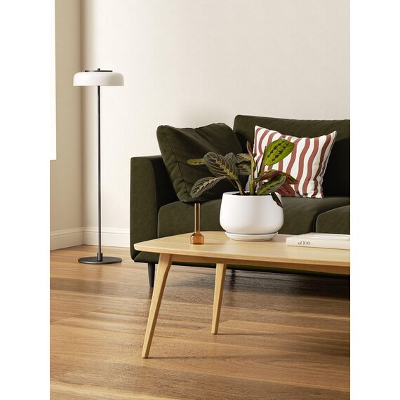 LE TAUCI Keramik Blumentöpfe mit Untersetzer, 10+13+16 cm Durchmesser Klein Blumentöpfe Set, 3er Set Übertöpfe für Zimmerpflanzen, Pflanztöpfe mit Abflussloch, Weiß