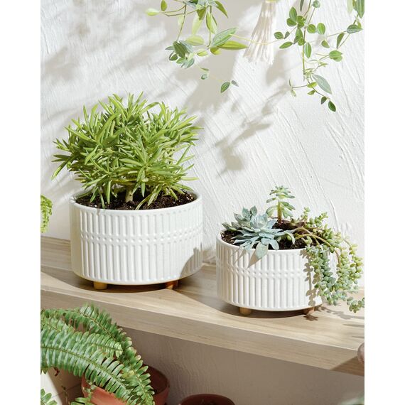 LE TAUCI Sukkulenten Topf, 16,5+20 cm Keramik Blumentopf für den Innenbereich mit Entwässerungslöchern, Moderner Zylindrischer Dekorativer Blumentopf, Geschenke für Mama, 2er-Set, Weiß
