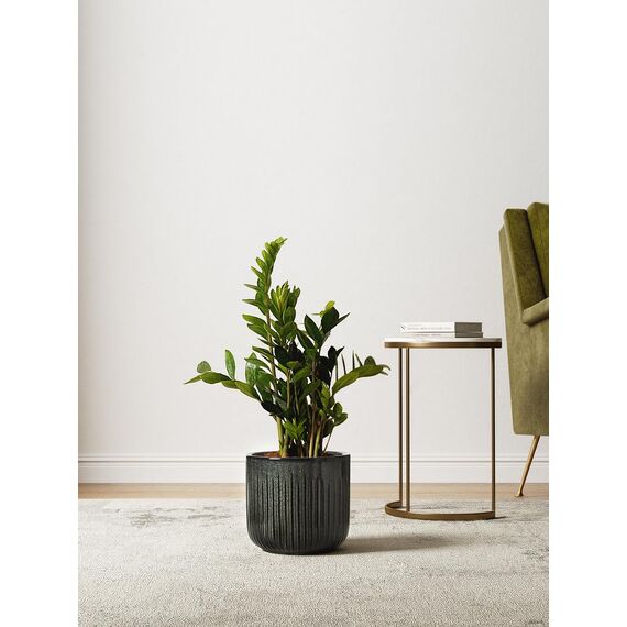 LE TAUCI 3er Set Blumentopf Keramik, 21+17+14 cm Durchmesser Ubertopf für Zimmerpflanzen, Plfanztopf mit Drainagelöchern, Mittelgroßer Zylinder Blumentopf, Reaktive Glasur Dunkeloliv