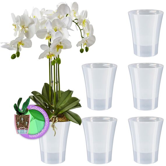 Santino 6er-Set Orchideentopf transparent mit selbstbewässerndem Dochtsystem - D 15 cm - Transparent - 2 L