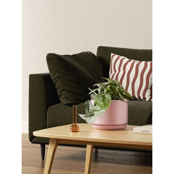 LE TAUCI 3er Pack Keramik Blumentöpfe, 11+13+17 cm Durchmesser Klein Übertöpfe Set, Blumentopf für Zimmerpflanzen mit Untersetzer und Abflussloch, Rosa