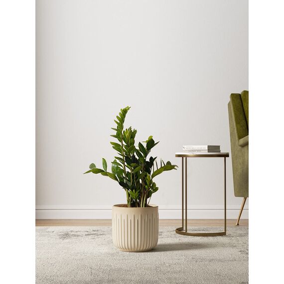 LE TAUCI 3er Set Blumentopf Keramik, 21+17+14 cm Durchmesser Ubertopf für Zimmerpflanzen, Plfanztopf mit Drainagelöchern, Mittelgroßer Zylinder Blumentopf, Reaktive Glasur Beige